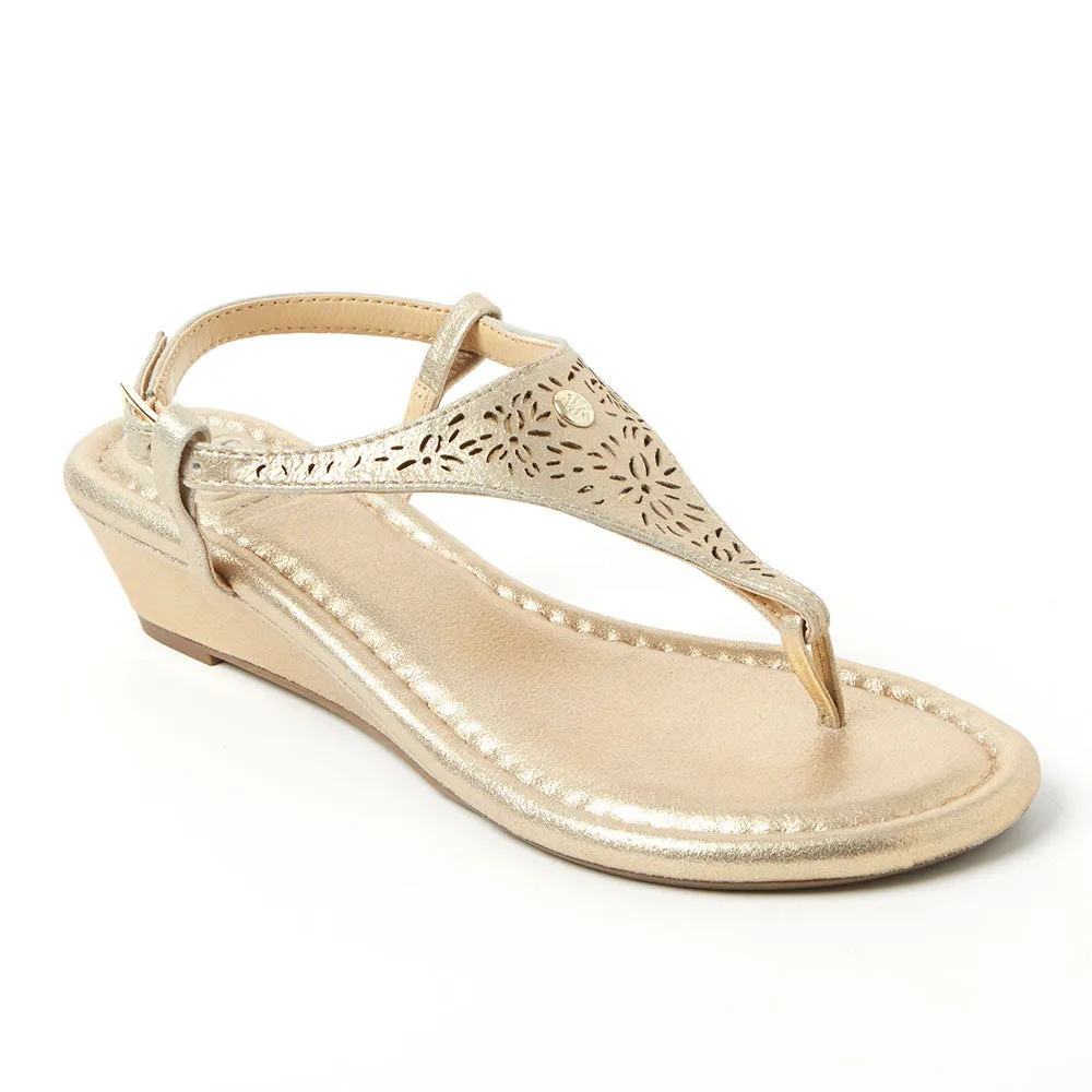 Champagne Wedge Set